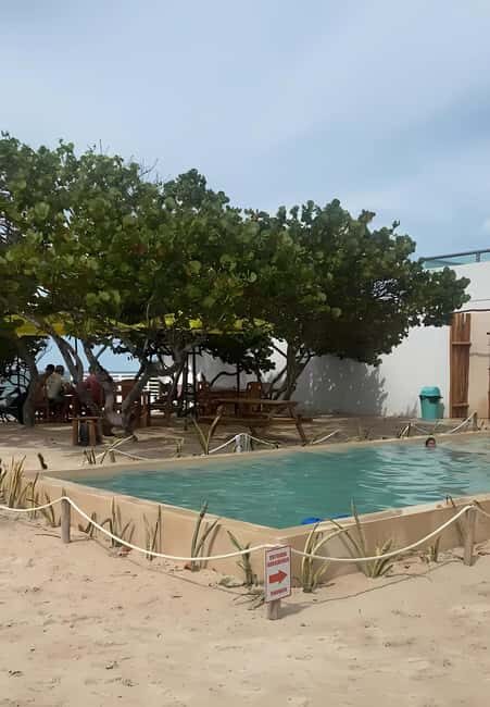 From Mérida: Beach Tour - Key things that make this tour worth your time