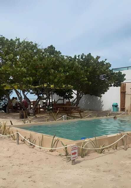 From Mérida: Beach Tour - Your guide and the small details that change the day