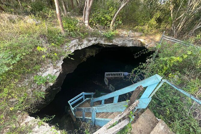 From Mérida: Explore 4 Rural Cenotes & Enjoy a Traditional Lunch - Who This Cenote Day Trip Fits Best