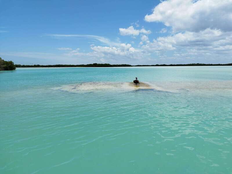 From Merida: Isla Columpios & Progreso - Playón de Chuburná: guided learning plus a breather