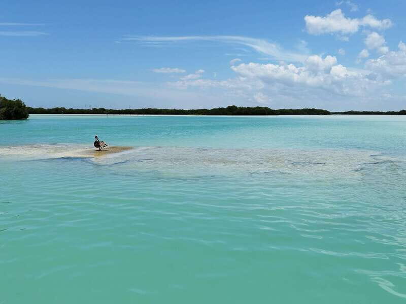 From Merida: Isla Columpios & Progreso - Price and value: is $74 a good deal for this day?