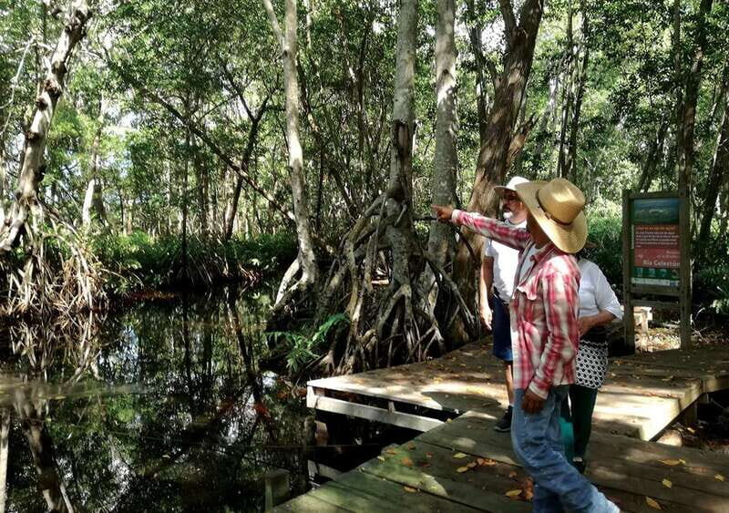 From Mérida: Ria Celestun Biosphere Reserve Tour - Quick hits before you go