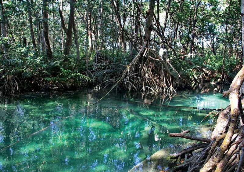 From Mérida: Ria Celestun Biosphere Reserve Tour - Should you book the Mérida to Ria Celestún tour?