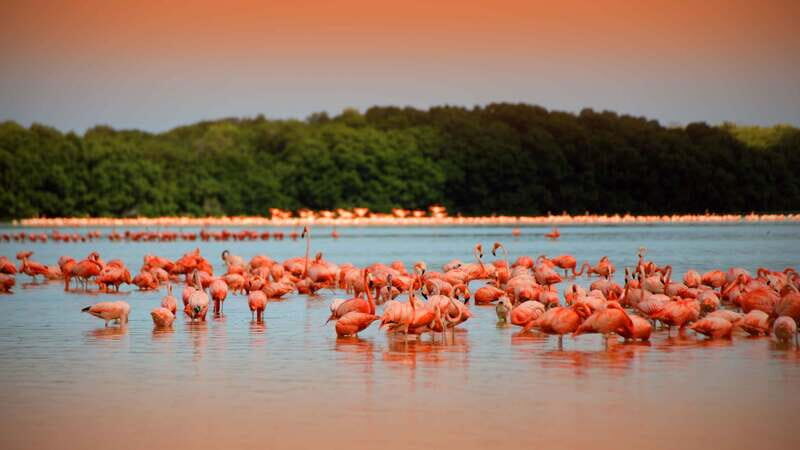 From Mérida: Ria Celestun Biosphere Reserve Tour - The long coach ride from Mérida to Celestún (and why it matters)