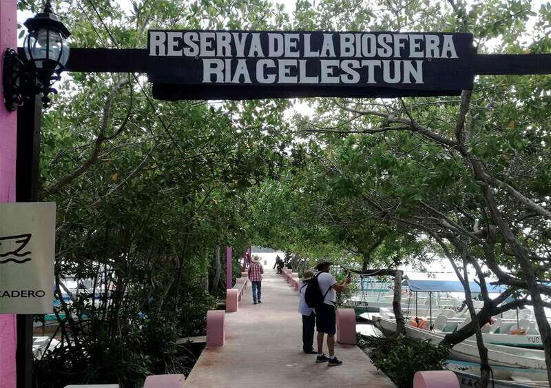 From Mérida: Ria Celestun Biosphere Reserve Tour - Mangrove trails and the boardwalk/cenote-style walk you might get