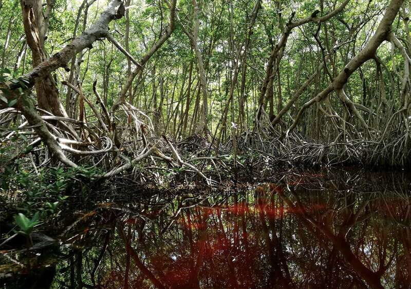 From Mérida: Ria Celestun Biosphere Reserve Tour - The lunch stop: what’s included (and what isn’t)