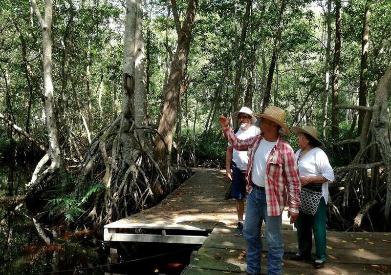 From Mérida: Ria Celestun Biosphere Reserve Tour - Who should book this day trip (and who should skip it)