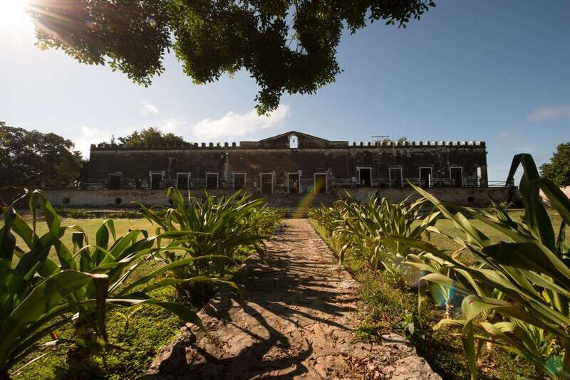 From Merida: Uxmal, Hacienda Yaxcopoil and Cenote with Lunch - Key highlights worth your attention