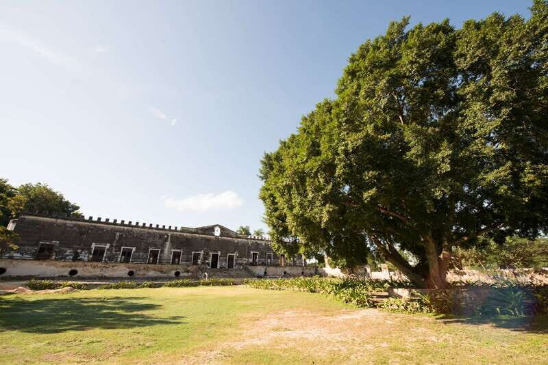 From Merida: Uxmal, Hacienda Yaxcopoil and Cenote with Lunch - Uxmal guided tour: Pyramid of Wealth, Nunnery, and Governor’s Palace