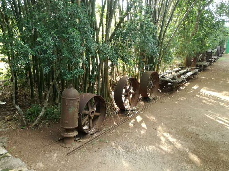 From Merida: Uxmal, Hacienda Yaxcopoil and Cenote with Lunch - Hotel pickup and the pace: 8 hours, air-conditioned comfort, real time on site