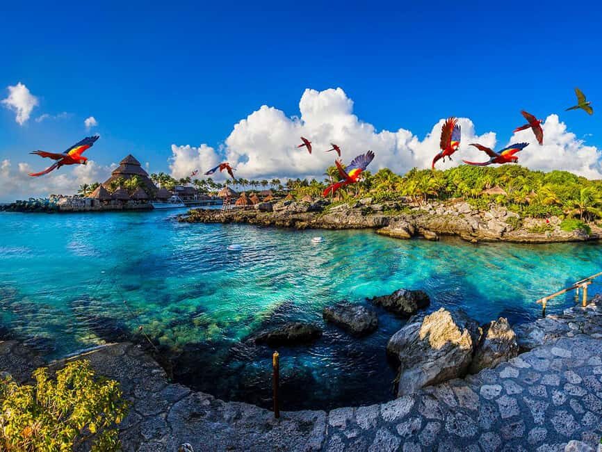 From Playa del Carmen: Xcaret Plus Park, the complete experience - Key highlights you’ll feel on the day