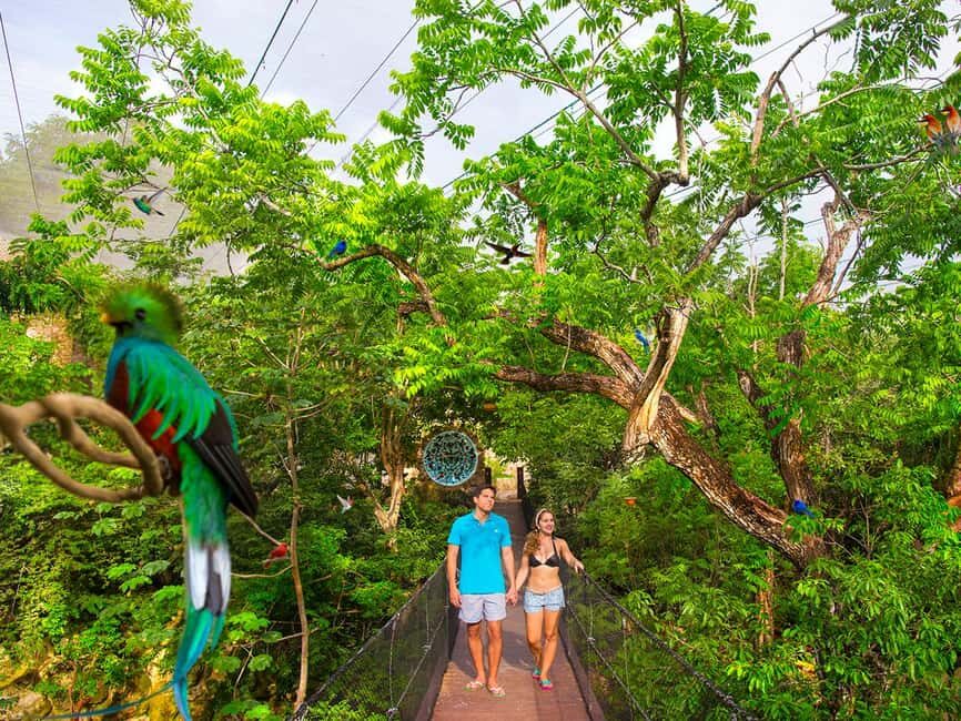 From Playa del Carmen: Xcaret Plus Park, the complete experience - Plus Area and lunch: built for not thinking too hard