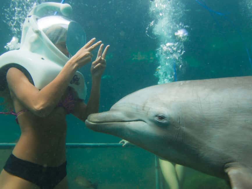 From Playa del Carmen: Xel-Há All-Inclusive Park - Unlimited snorkeling in the cove: the main event