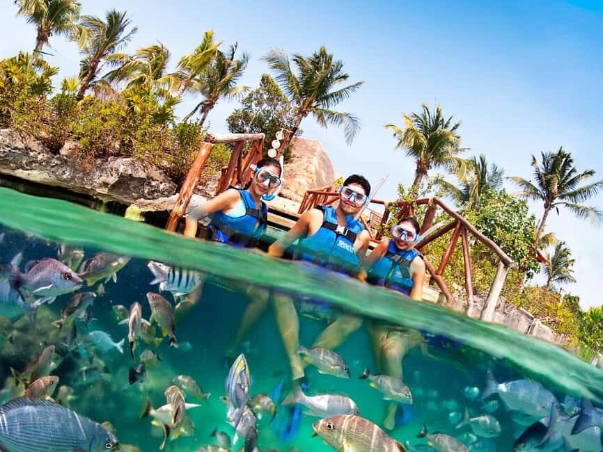 From Playa del Carmen: Xel-Há All-Inclusive Park - Cenotes, caves, and grottoes: water with limestone drama