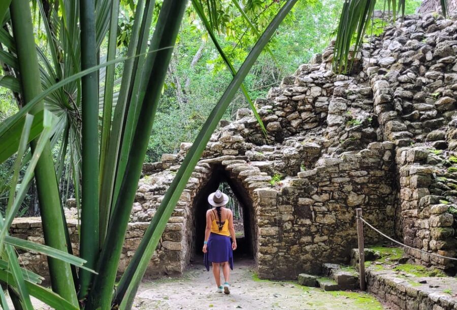 From Riviera Maya: Coba, Punta Laguna & Cenote Guided Trip - Price and Value: Is It Worth $184?