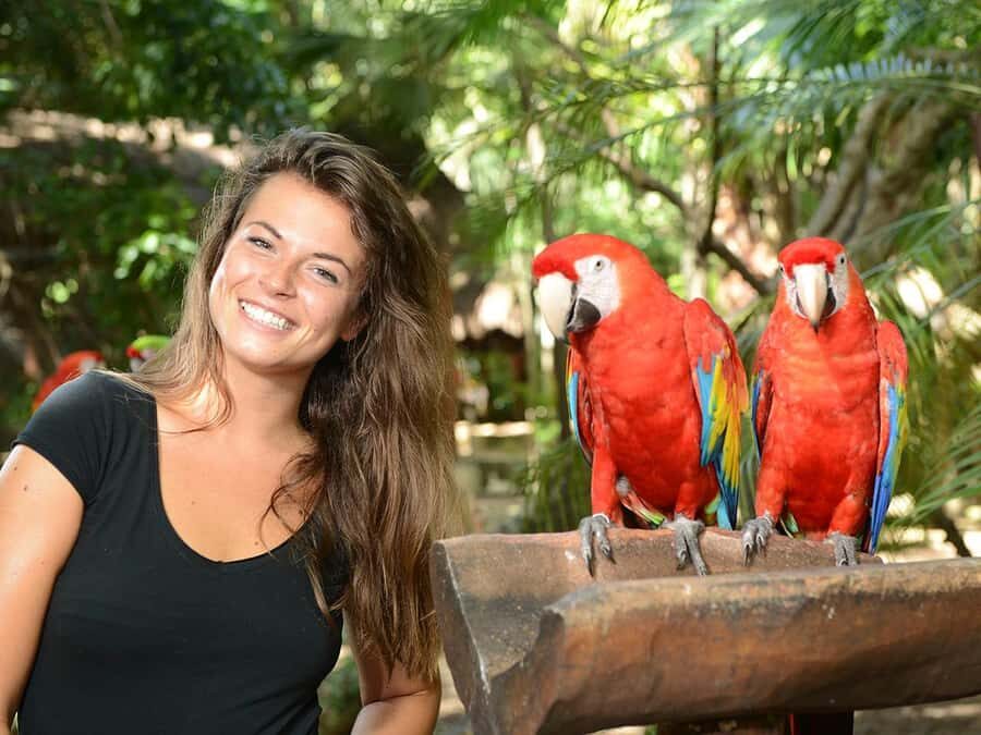 From Riviera Maya: Complete Combo to Xcaret Park! - Key Highlights That Make This Day Trip Worth Planning For