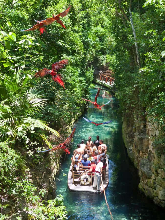 From Riviera Maya: Complete Combo to Xcaret Park! - What Happens at Xcaret Park (So You Can Plan Without Stress)