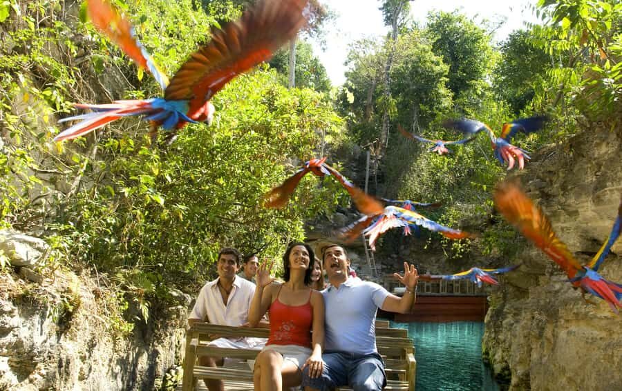 From Riviera Maya: Complete Combo to Xcaret Park! - The Real Star: Choosing Your Mix of Nature and Culture