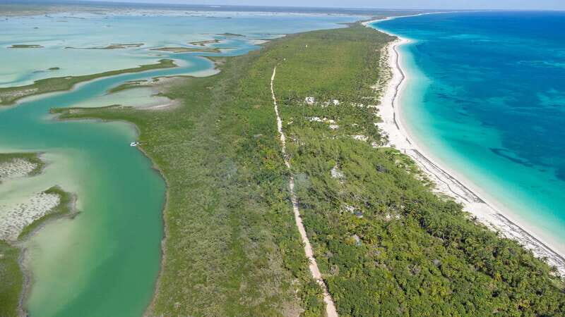 From Riviera Maya: Sian Ka'an Half Day Tour w/ Lunch - Wildlife Spotting: Manatees, Crocodiles, and Lots of Birds