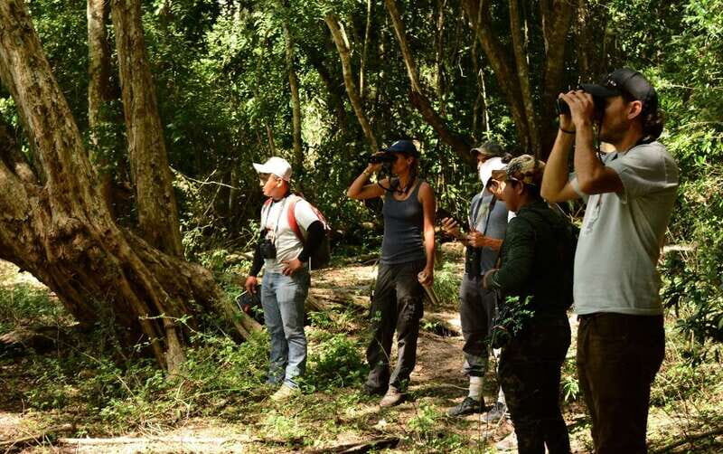 From Riviera Maya : Sian Ka'an Muyil Birdwatching with Guide - Your guide makes or breaks the birding