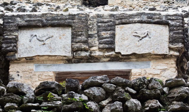 From Riviera Maya : Sian Ka'an Muyil Birdwatching with Guide - Price and add-ons: is $119 worth it?