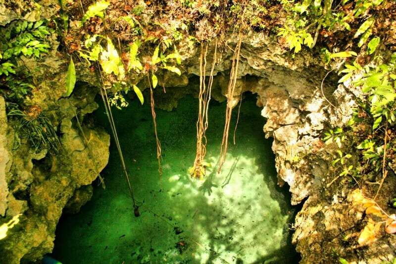 From Riviera Maya: Snorkeling & Private Cenote Half-Day Tour - Why This Cenote + Reef Mix Works in Just 5 Hours