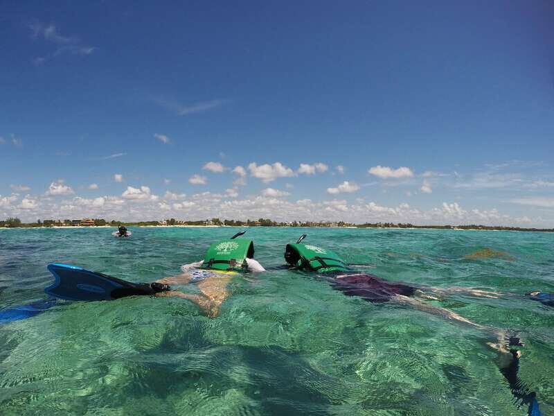 From Riviera Maya: Snorkeling & Private Cenote Half-Day Tour - Guides Make the Difference (Karen, Jenny, Alex, Pluma)
