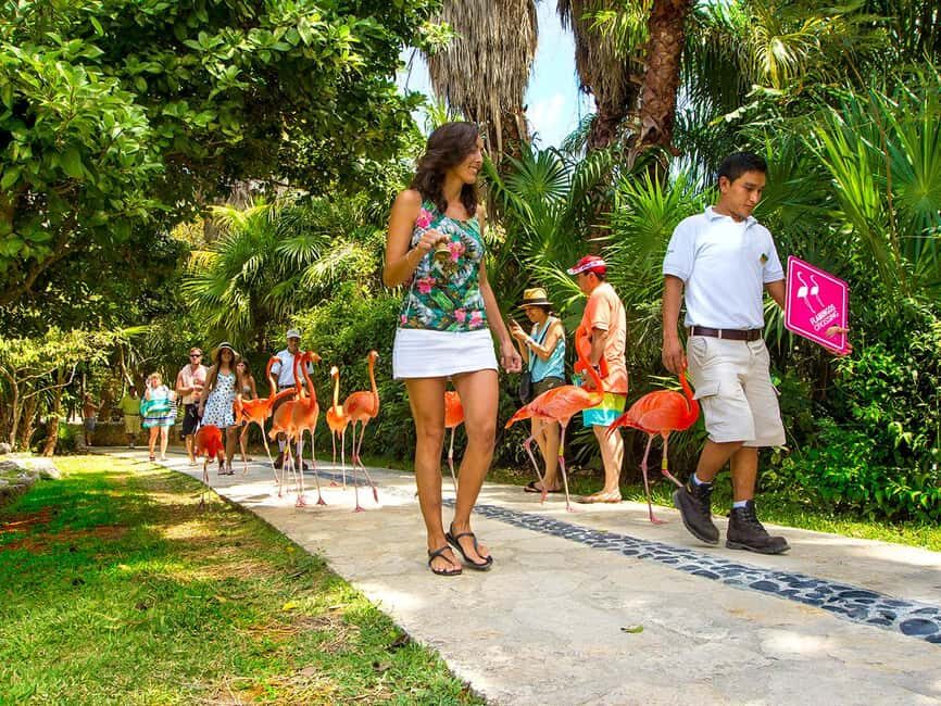 From Riviera Maya: Xcaret Park All-Inclusive - Key Things That Make Xcaret Stand Out