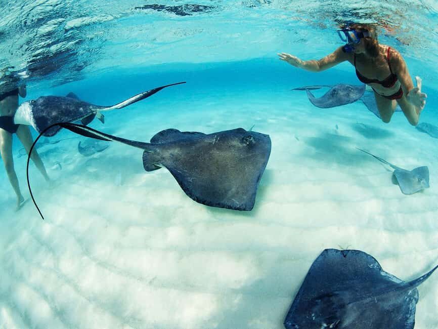 From Riviera Maya: Xcaret Park Plus, the complete experience - Entering Xcaret Park: Free Time Plus a Guided-Feel Day