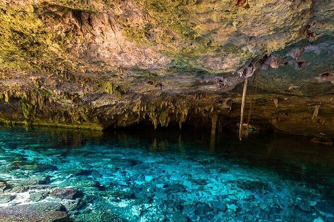 Full Day Adventure: Horses , ATV, Ziplines & Cenote w/Lunch - Cenote swim with snorkel gear: the calm break after adrenaline