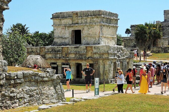 Full-Day Adventure: Tulum, Cobá, Mayan Village & 5th Avenue - Lunch and Energy: Buffet Food That Fits a Long Route
