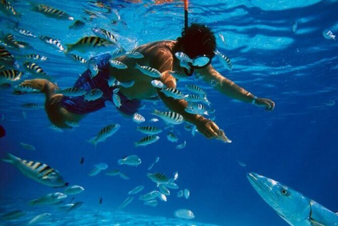 Full-Day Catamaran Cozumel Tour with Sky Snorkeling - Key Points at a Glance