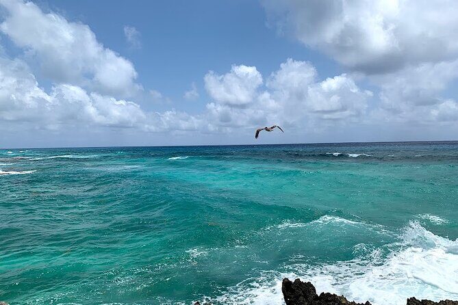 Full-Day Catamaran Cozumel Tour with Sky Snorkeling - Palancar Reefs Snorkeling: Coral Color in a Tight 30 Minutes