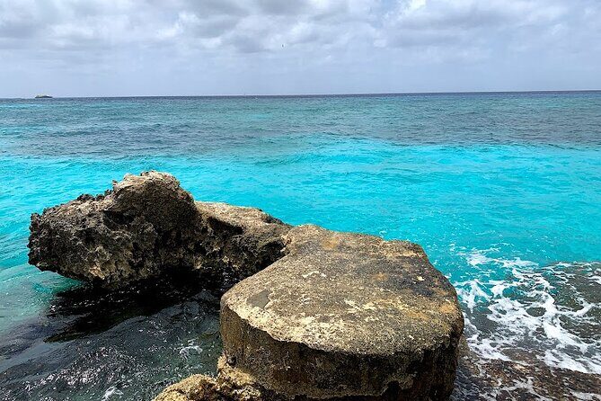 Full-Day Catamaran Cozumel Tour with Sky Snorkeling - Price and Value: What $189 Buys You (Plus the Dock Tax)