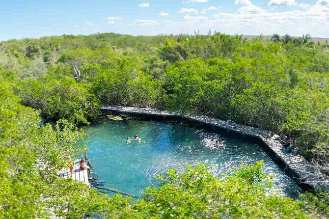 Full Day Excursion to the Best of Holbox From Riviera Maya - Riviera Maya to Holbox: the 7:00 am start and boat rhythm