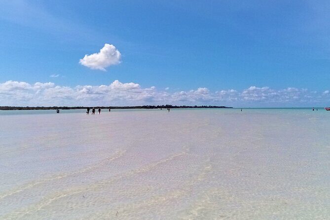 Full Day Excursion to the Best of Holbox From Riviera Maya - Yalahau Lagoon and Ojo de Agua: your last swim and the cool-down you need