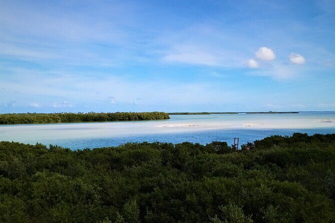 Full Day Excursion to the Best of Holbox From Riviera Maya - Safety and guide team: Darren, Montserrat, and Maria’s kind-of-important role