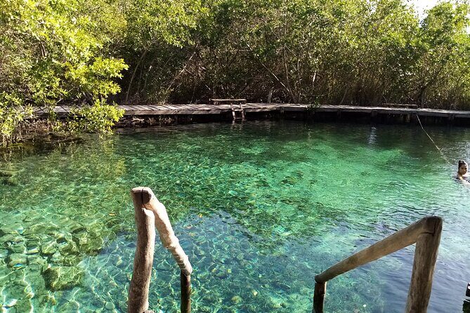 Full Day Excursion to the Best of Holbox From Riviera Maya - Price and logistics: what $99 covers, and the $40 admission fee reality