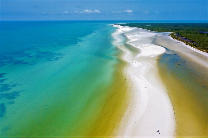 Full Day Excursion to the Best of Holbox From Riviera Maya - Holbox Island free time: where to slow down (and what to do with 2 hours)