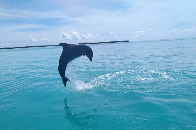 Full Day Guided Tour to Sian Ka'an (short way) - 2 Hours of Snorkeling in a Natural Pool: How to Make It Count