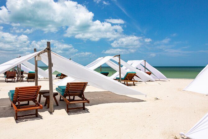 Full-Day Holbox Island Boat and Buggy Tour with Lunch - Morning logistics: start early, settle in for the ride