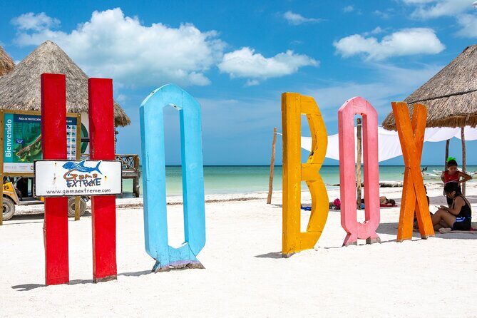 Full-Day Holbox Island Boat and Buggy Tour with Lunch - Wildlife sandbank and bird areas: what you can realistically expect to see