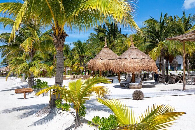 Full-Day Holbox Island Boat and Buggy Tour with Lunch - Holbox by golf buggy: fun ride, real bumpy roads