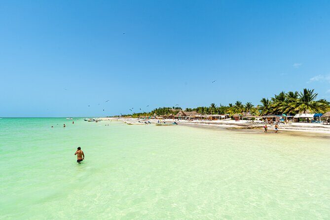 Full Day Holbox Island Tour from Playa del Carmen with Lunch - Getting from Playa del Carmen to Holbox without stress