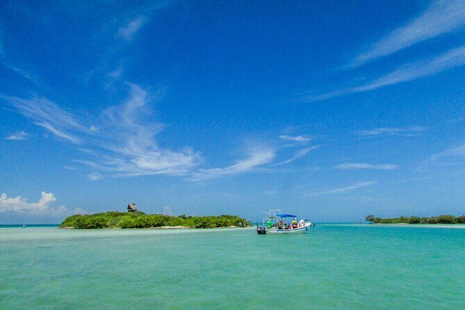 Full Day Holbox Island Tour from Playa del Carmen with Lunch - Price and value: what $148.66 buys you