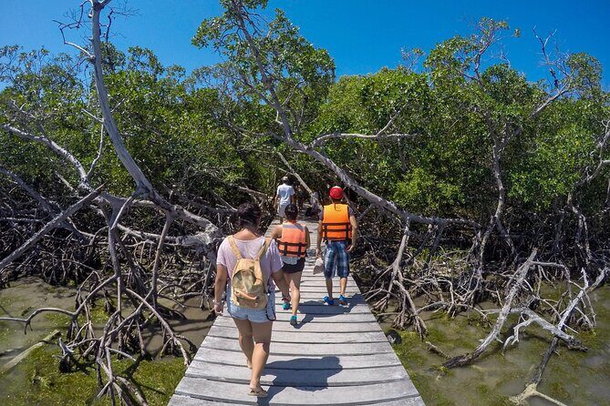 Full Day Holbox Island Tour from Playa del Carmen with Lunch - Who should book this Holbox tour (and who shouldn’t)