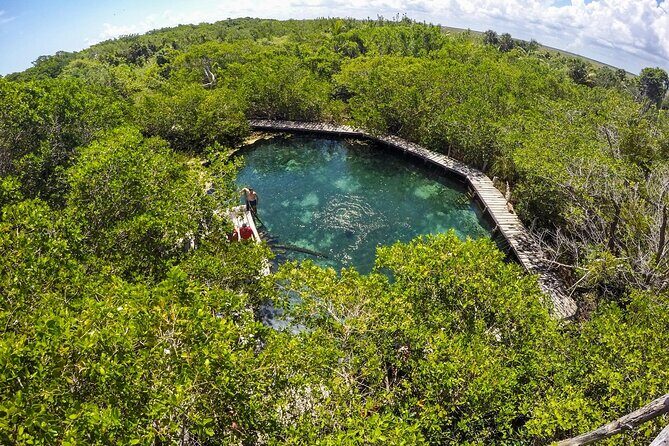 Full Day Holbox Island Tour from Playa del Carmen with Lunch - Guide impact: smooth pacing and clear English