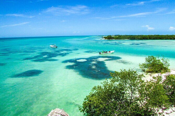 Full Day Holbox Island Tour from Playa del Carmen with Lunch - Isla de la Pasión: viewpoints and seasonal birds