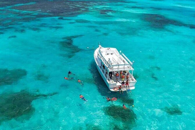 Full-Day Isla Contoy Sailing Nature Experience in Mujeres - Who This Catamaran Day Trip Is Best For