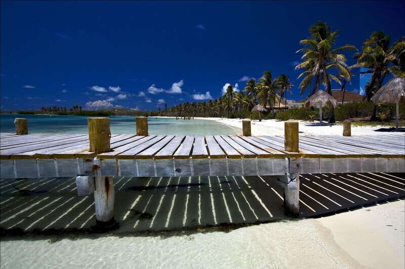 Full Day Nature Expedition to Contoy Island and Isla Mujeres - Two islands, one smooth nature-and-town day